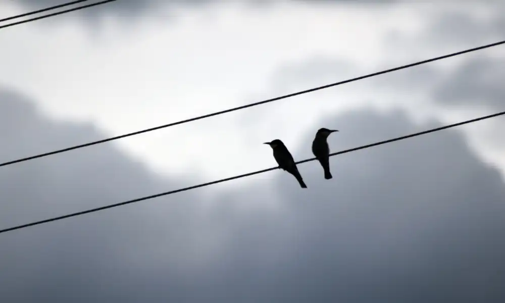 Kränkungen – das verletzte Kind in uns und der Weg zu Heilung und Wachstum